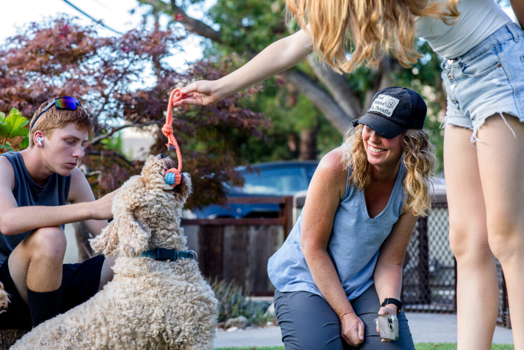 A mom with her teenage son and daughter laughs while her kids play with their golden doodle in their front yard. 
