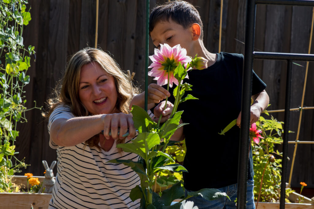 A mom wearing a striped shirt and her young son take pruning sheers and cut a pink dahlia for a bouquet. 