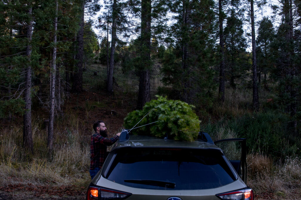 Man ties a Christmas tree to the roof of his suv.